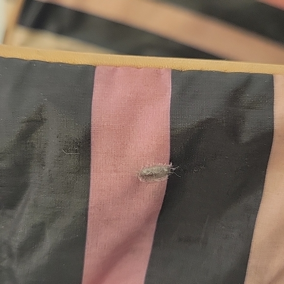 Sonia Rykiel Crossbody Bag - Picture 9 of 9